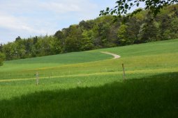 Bergklub: Hersbergerweid  (520 m.ü.M.)