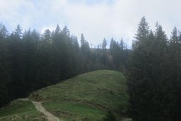Bergklub: Napf (im Emmental) (1408 m.ü.M.)