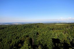 Bergklub: Chutzenturm (45m) (820 m.ü.M.)