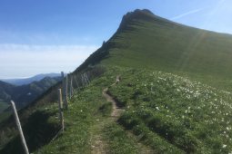 Bergklub: Col de Lyss (1783 m.ü.M.)